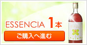 ESSENCIA1�{�@���w���֐i��