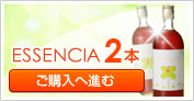 ESSENCIA2�{�@���w���֐i��