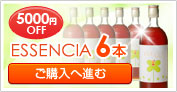 ESSENCIA6�{�@���w���֐i��