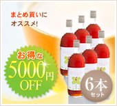 酵素飲料 まとめ買いにおすすめ!お得な5000円OFF 6本セット
