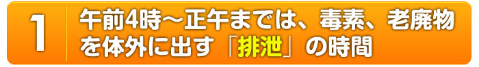 肝臓が基礎代謝を左右する！