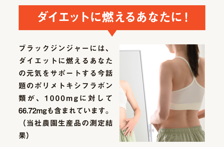 ダイエットに燃えるあなたに！
