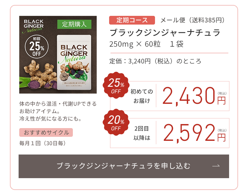 �u���b�N�W���W���[�i�`������\������