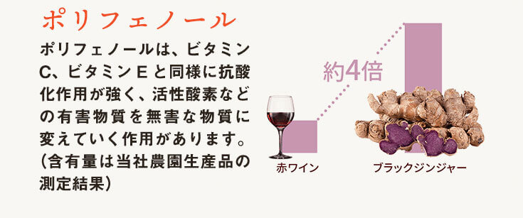 �|���t�F�m�[��