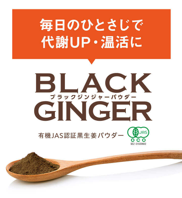 �����̂ЂƂ����ő��UP�E���Ɂ@�u���b�N�W���W���[�p�E�_�[