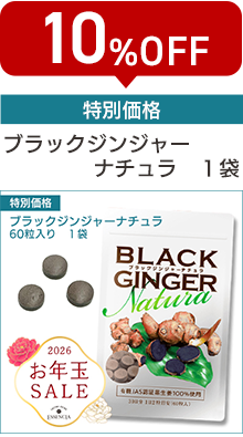 ���N�ʃZ�[���u���b�N�W���W���[�i�`����