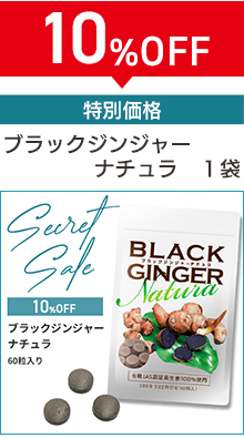 �u���b�N�W���W���[�i�`����