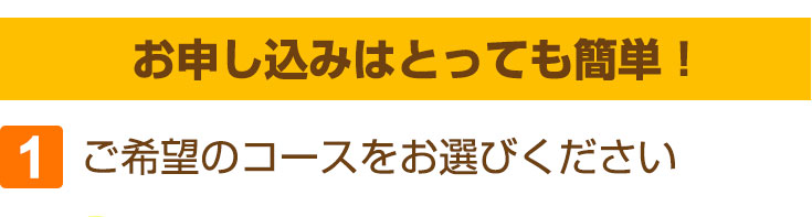 ɁIꂵv[gt