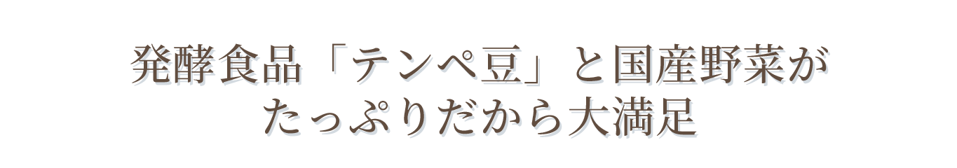 発酵食品「テンペ豆」と国産野菜がたっぷりだから大満足