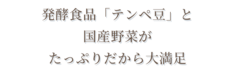 発酵食品「テンペ豆」と国産野菜がたっぷりだから大満足