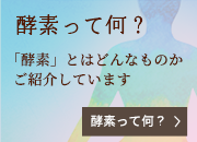 酵素って何？「酵素」とはどんなものかご紹介しています