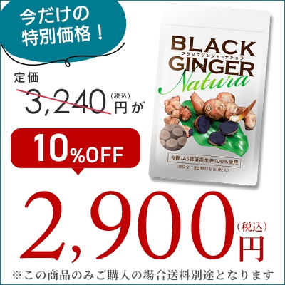 �y10%OFF�z�V�t���N�ʃZ�[���u���b�N�W���W���[�i�`�����P��