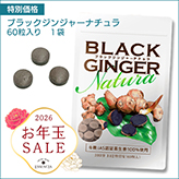 �y10%OFF�z�V�t���N�ʃZ�[���u���b�N�W���W���[�i�`�����P��