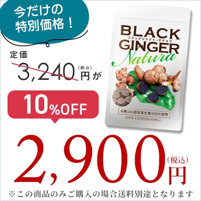 �y10%OFF�z�f�v�Z�[���u���b�N�W���W���[�i�`�����P��