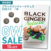 �y10%OFF�z�f�v�Z�[���u���b�N�W���W���[�i�`�����P��