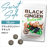 �V�[�N���b�g�Z�[���u���b�N�W���W���[�i�`�����P��